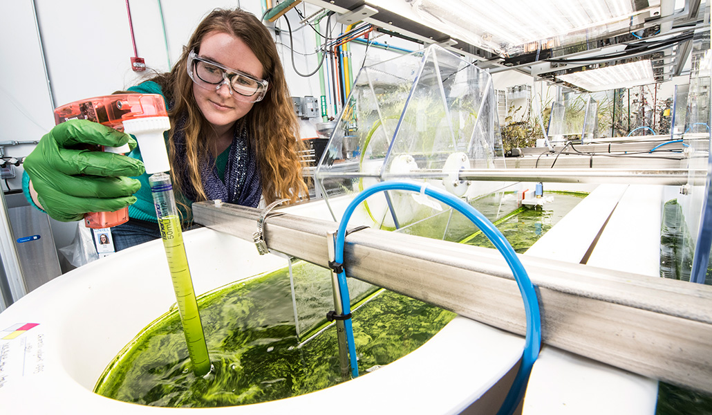 NREL Image Gallery #55146 Researcher in lab.